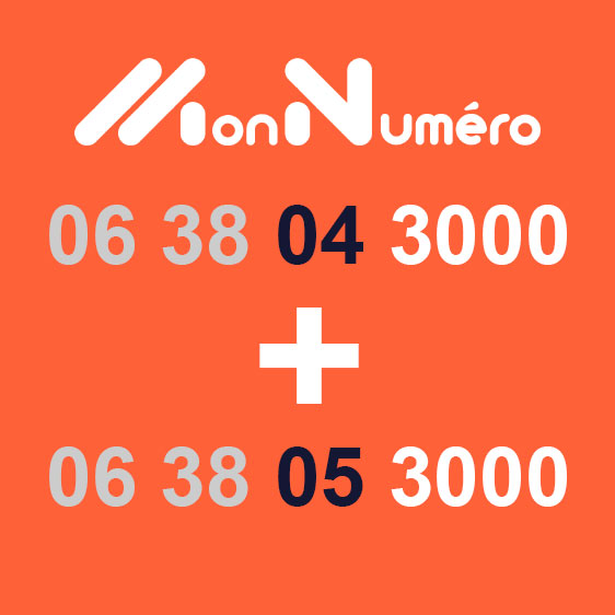 Numéros duo faciles à vendre - 06 38 04 3000 + 06 38 05 3000