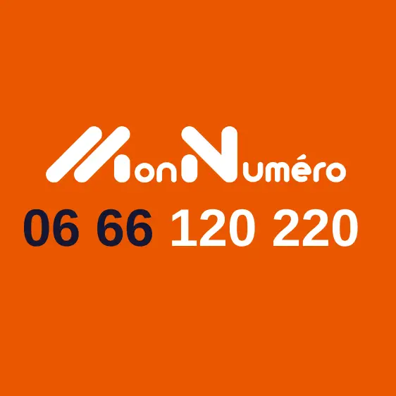 Achetez un numéro facile et mémorisable : 06 66 120 220